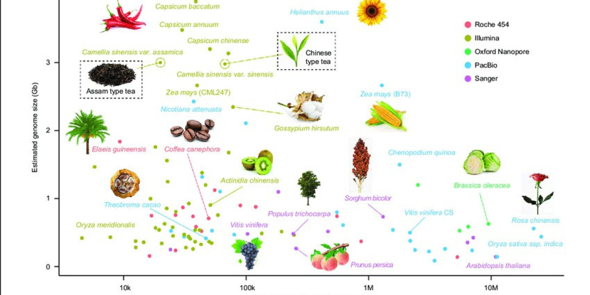 Research Development in Plant Genome Sequencing