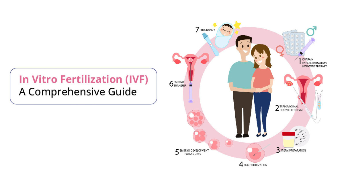 Understanding IVF: Your Guide to Fertility Treatment Options