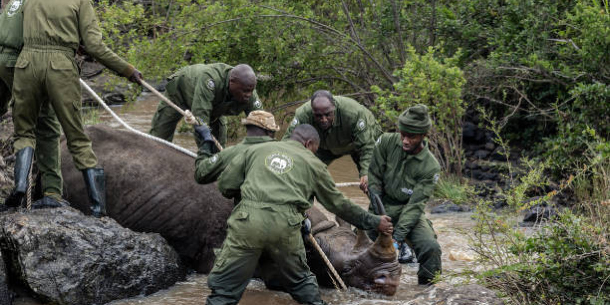 Strategies for Reducing Human-Wildlife Conflict in Kenya