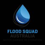 Flood Squad Australia Profile Picture