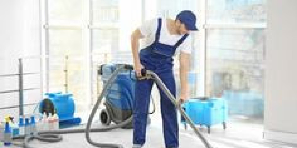 Invest in Professional Carpet Cleaning for a Healthier Living Space