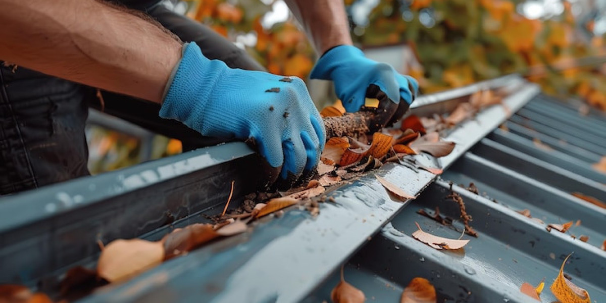 Atlanta’s Gutter Cleaning Experts—We’ve Got You Covered