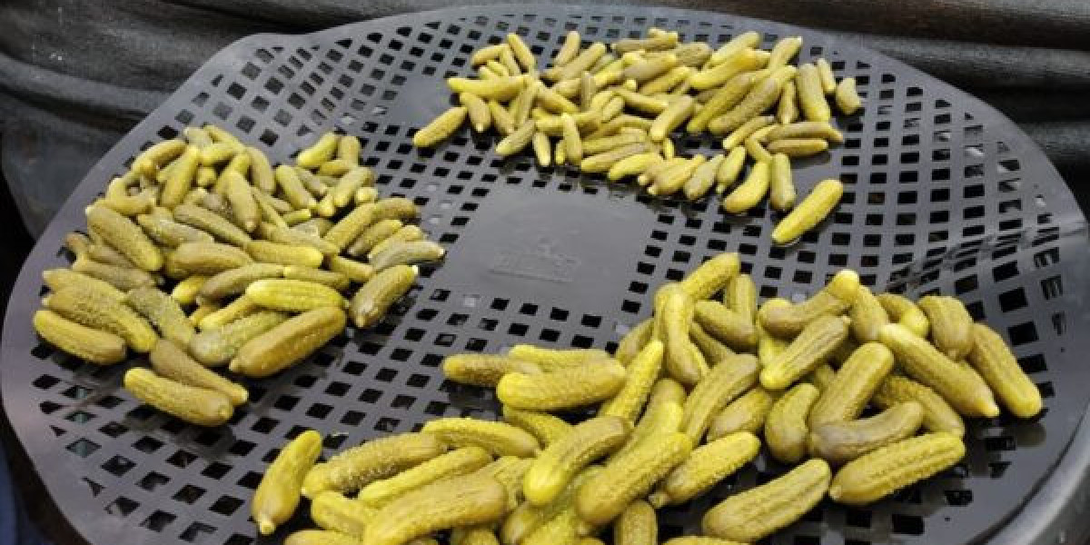 Gherkins in India: A Growing Market for a Global Delicacy