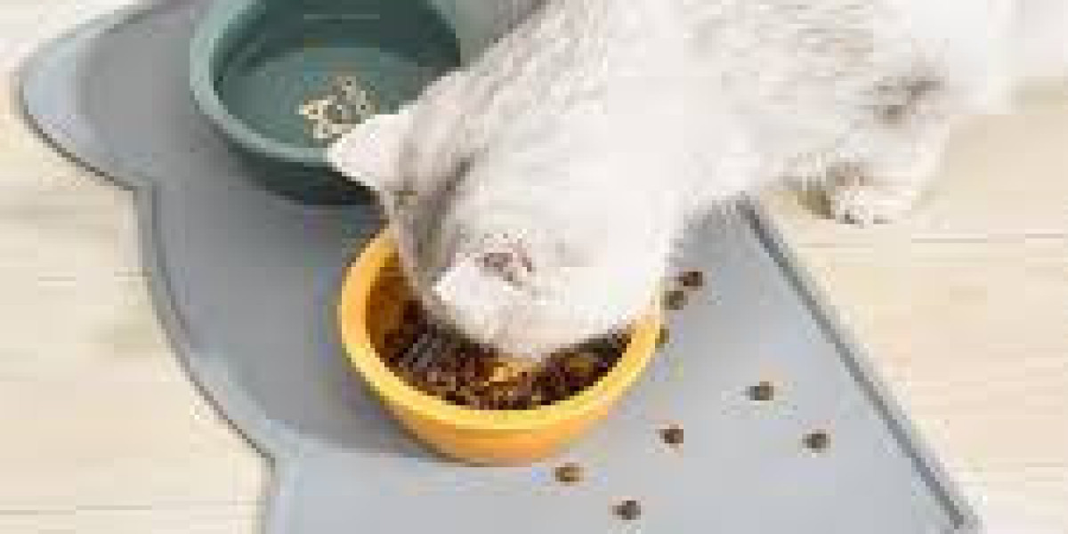 The Essential Guide to Cat Food Mats: Keeping Your Feline’s Feeding Area Clean and Stylish