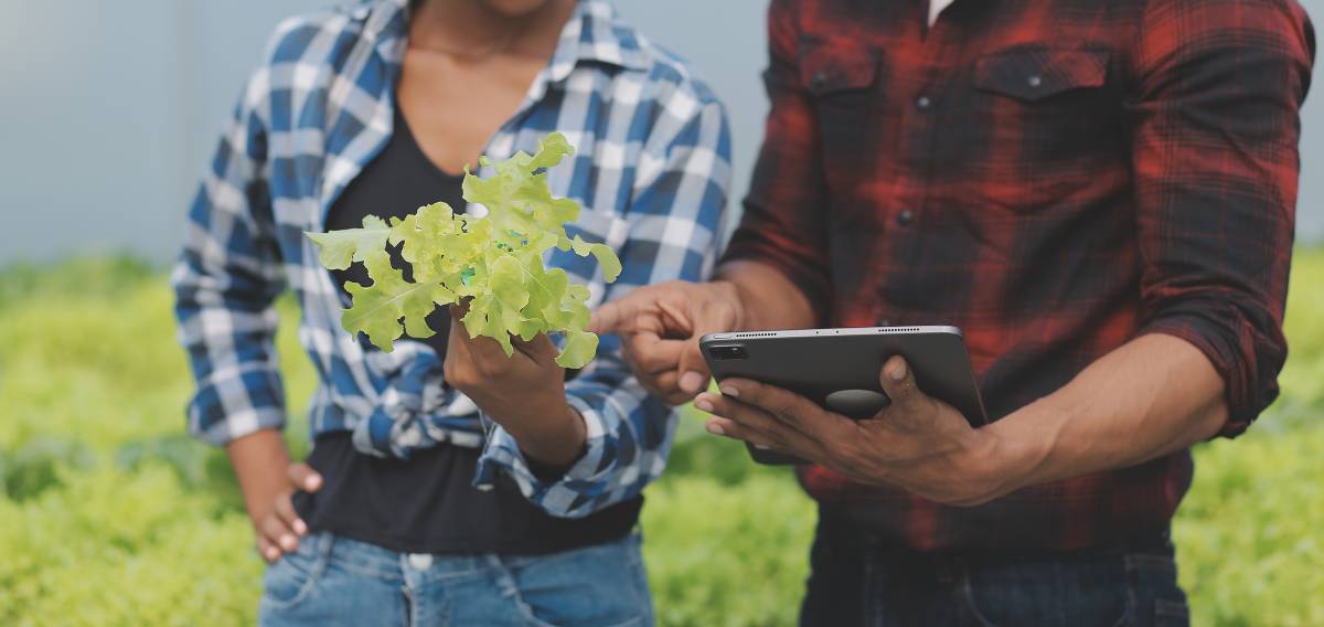 Increasing Vegetable Quality with Advanced Lighting: What Growers Need to Know - GROW3