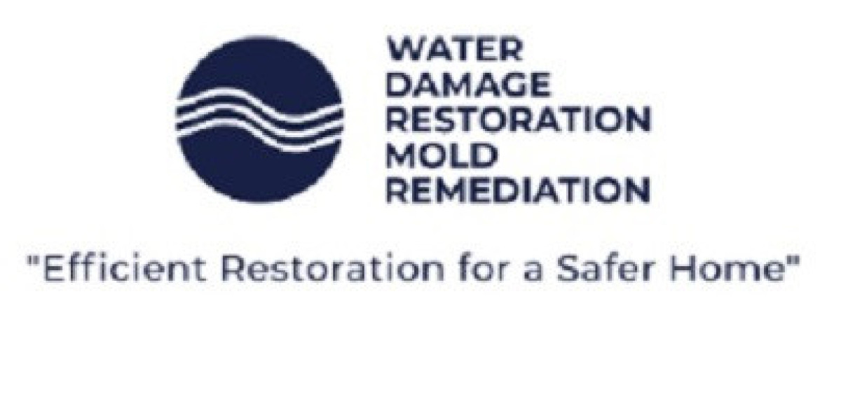 Water Damage Restoration Mold Remediation Georgetown