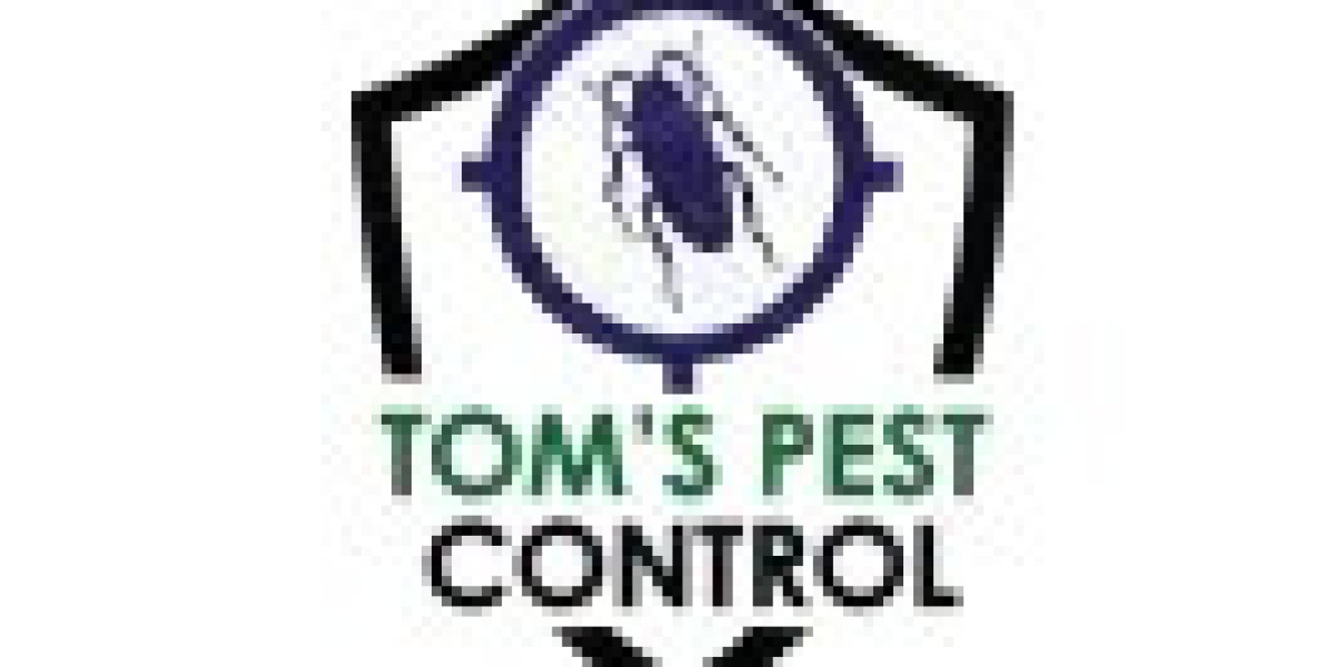 Ensuring a Safe and Healthy Environment with Pest Control in London