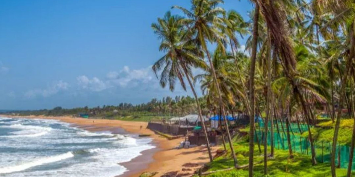 Top 5 Beaches in Goa: Discover the Hidden Gems