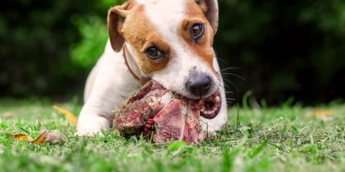 Can Dogs Safely Eat Deer Meat?