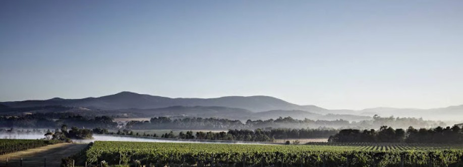 Chauffeur Drive Melbourne Yarra Valley Cover Image