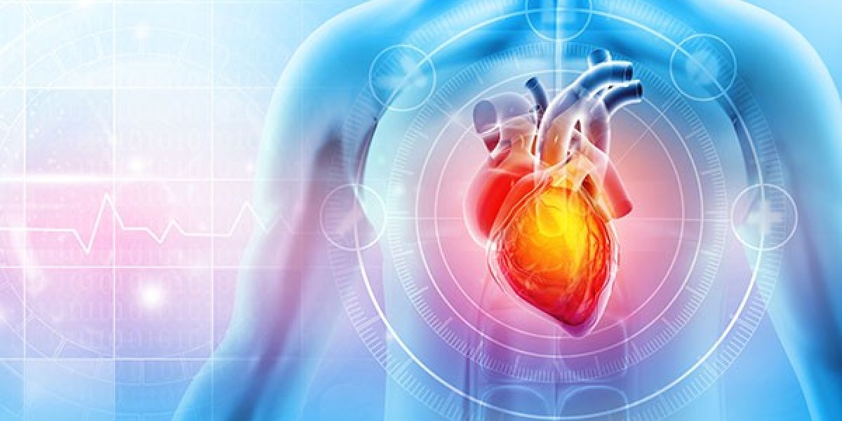 Best Cardiologists in Chennai: Your Guide to Expert Heart Treatment