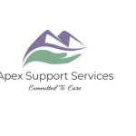 Apexsupportservices Profile Picture