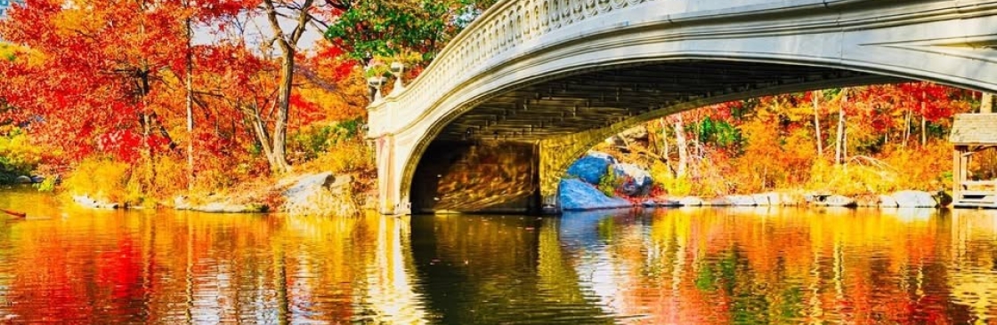 Central Park Carriage Tours Cover Image