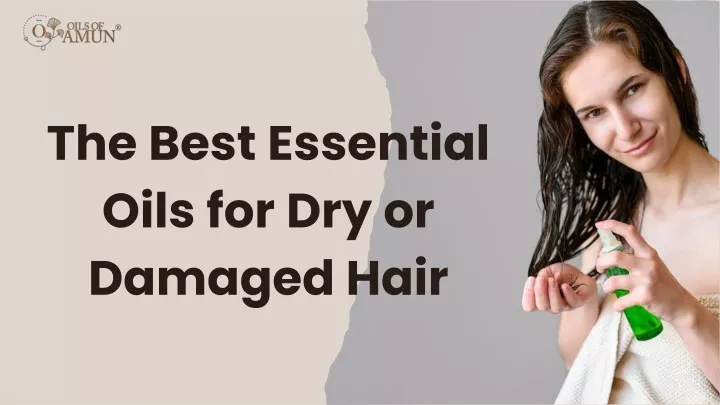 PPT - The Best Essential Oils for Dry or Damaged Hair PowerPoint Presentation - ID:13674417