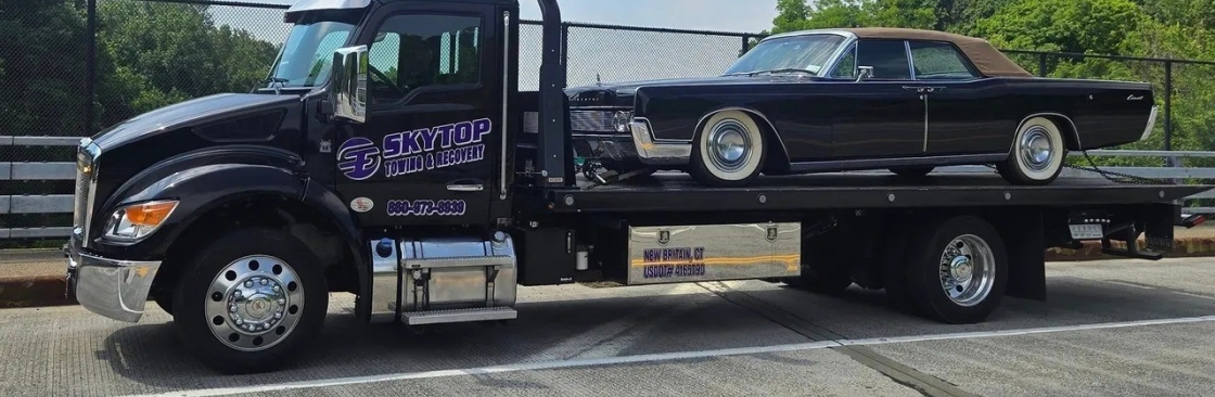 Skytop Towing Cover Image